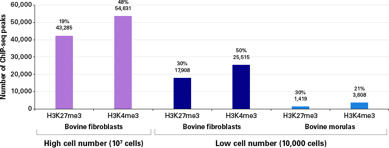 ChIP-seq peaks called to the bovine genome