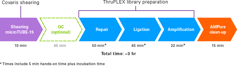 Complete workflow breakdown by steps