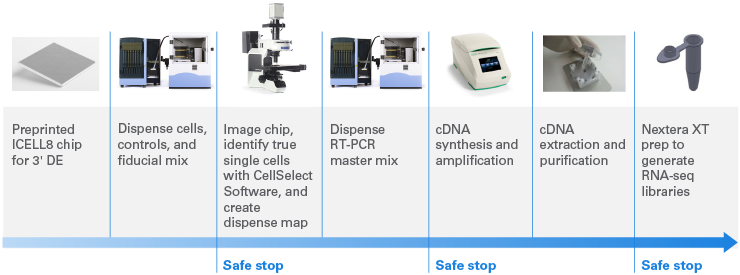 Overview of the ICELL8 Single-Cell System workflow