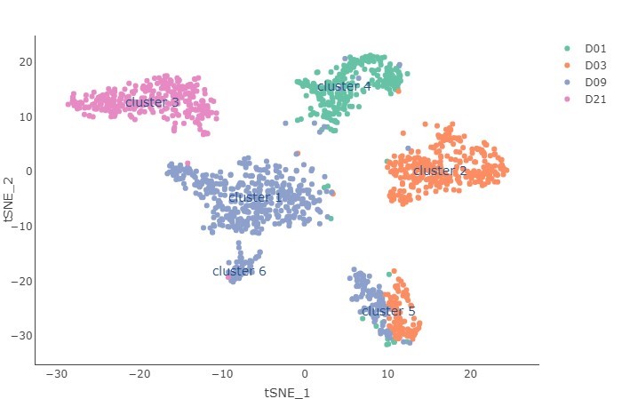 Single-cell RNA-seq (scRNA-seq) of iPSCs reveals robust clustering based upon post-induction time.