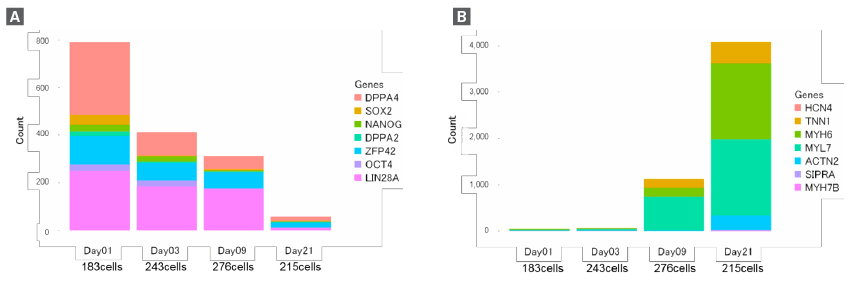 Proportion of cells expressing iPSC and cardiomyocyte markers