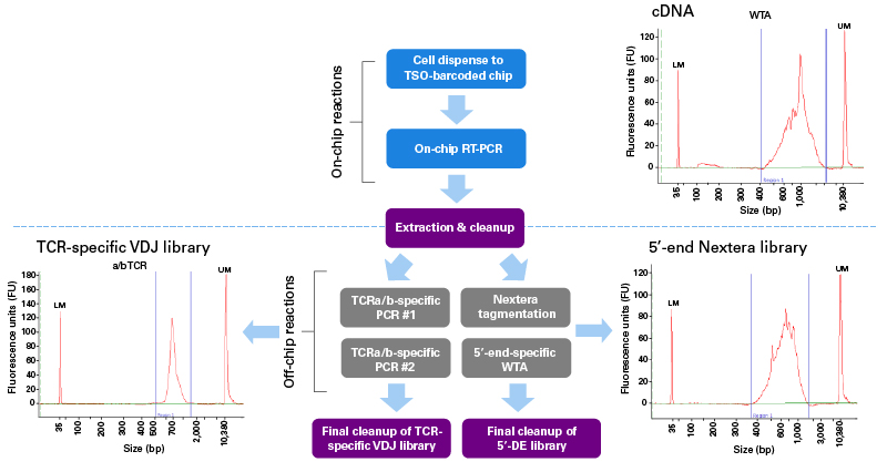 Workflow for combined TCR profiling and 5' DE analysis