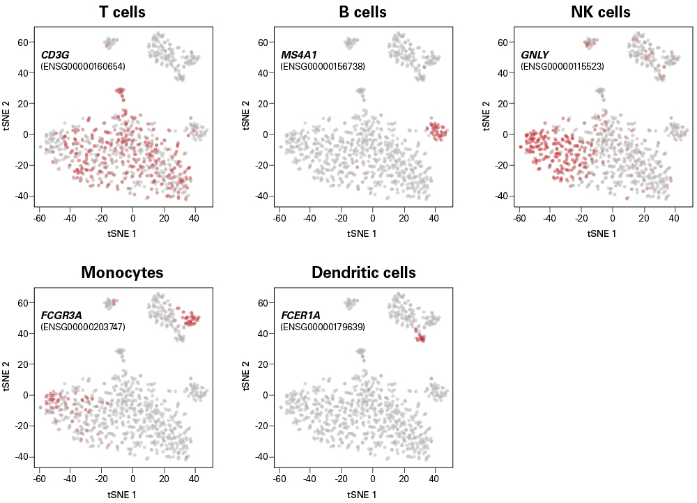 Cell populations present in PBMC sample