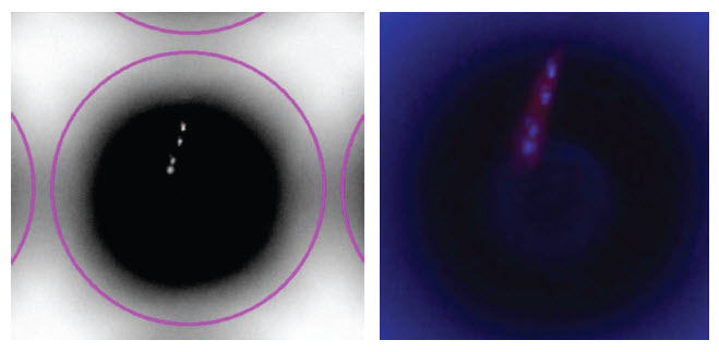 Unbiased cell-size isolation