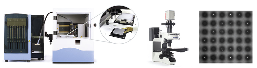 MSND dispensing and CellSelect imaging