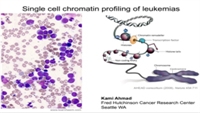 Single-cell chromatin profiling of leukemias