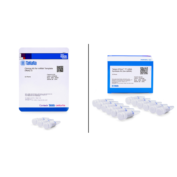 6131: Takara IVTpro mRNA Synthesis System (low dsRNA)