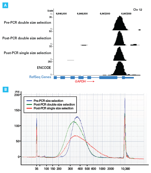 Peak calling and electropherograms of pre- and post-PCR size selection libraries