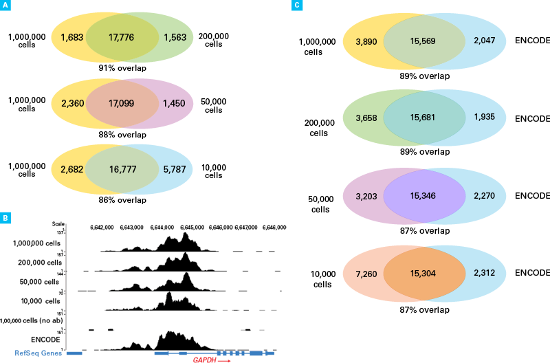 ChIP-seq library complexity and reproducibility from total DNA from small Amounts of cells; DNA SMART ChIP-seq library overlap with ENCODE data