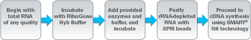 Workflow for random-primed cDNA synthesis with SMARTer universal low-input RNA kits. 