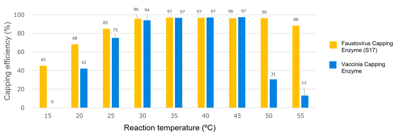 Effect of temperature on capping efficiency of FCE and VCE