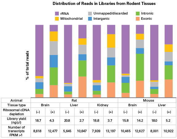 Improved exon mapping and transcript identification from human and rodent tissues