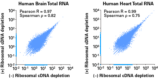 High reproducibility between libraries with or without ribosomal cDNA depletion