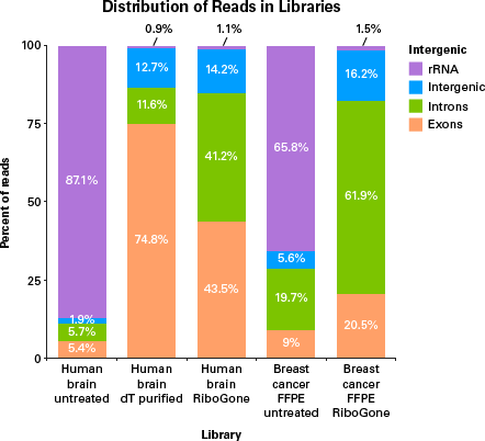 RiboGone - Mammalian efficiently removed rRNA from intact and degraded RNA samples