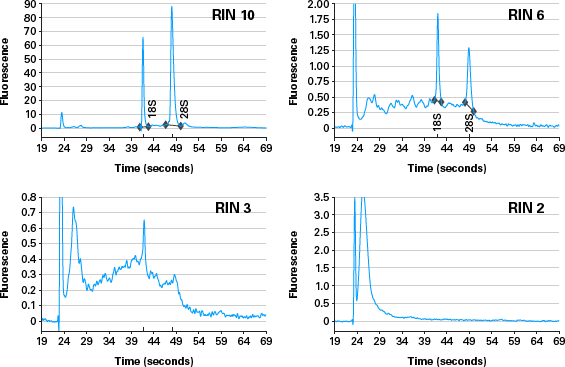 Example electropherograms used to train the RIN software (Agilent Technologies)