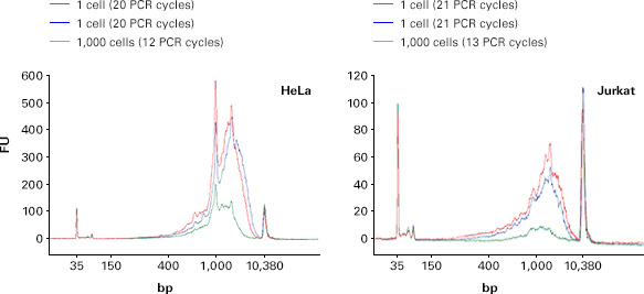 Electropherograms of amplified SMARTer cDNA