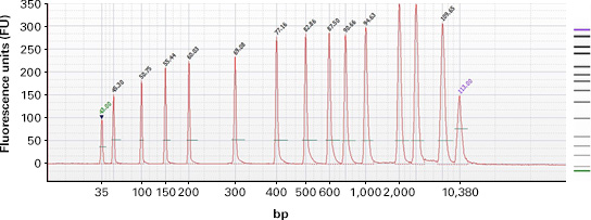 Proper electropherogram for the High Sensitivity DNA ladder