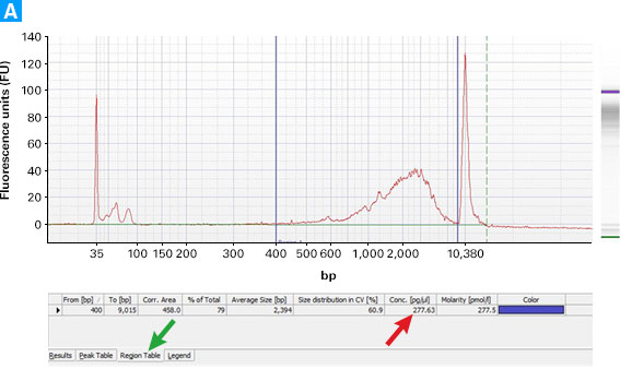 Determining the yield of cDNA from SMARTer Ultra Low kits