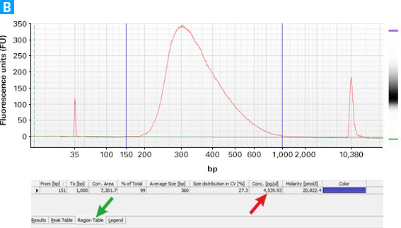 Determining the yield of cDNA from SMARTer Stranded kit