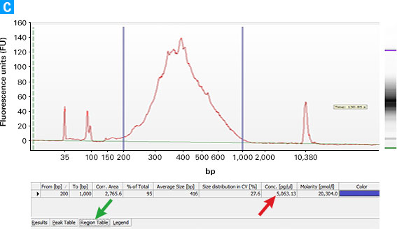 Determining the yield of cDNA from SMARTer Stranded Total RNA Sample Prep Kit - HI Mammalian