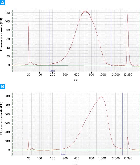 Comparison of libraries generated from different cDNA input amounts