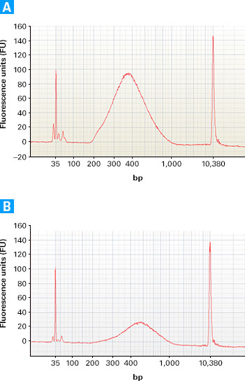 Variability in cDNA generated from different RNA sources