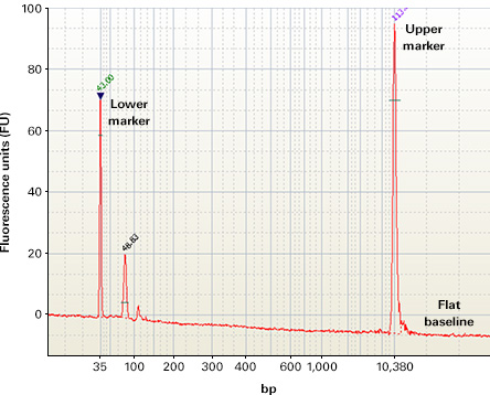 Negative control cDNA synthesis reaction using a SMARTer Ultra Low kit