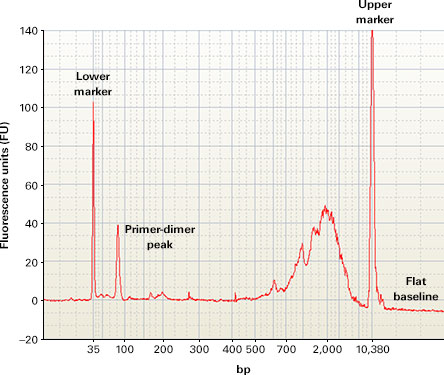 Positive control cDNA synthesis reaction using a SMARTer Ultra Low kit