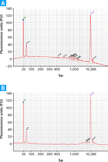 Improper separation of magnetic beads using a SMARTer Ultra Low kit