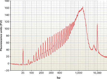 cDNA generated with a SMARTer Ultra Low kit showing pollen contamination