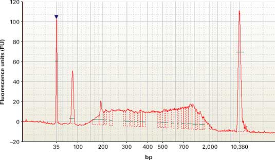 Poor-quality cDNA generated with a SMARTer Ultra Low kit from degraded RNA