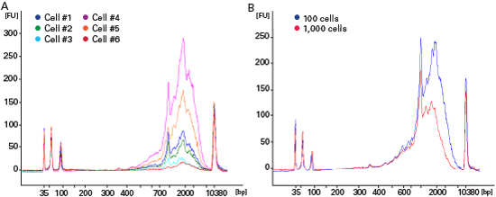 Figure 2. Electropherograms of cDNA libraries generated from six individual cells.