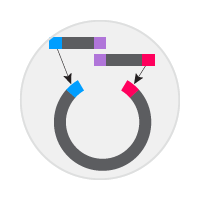 cloning sgRNAs