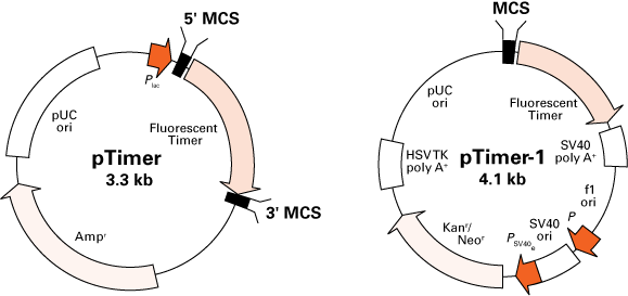 Vector map for Timer vectors