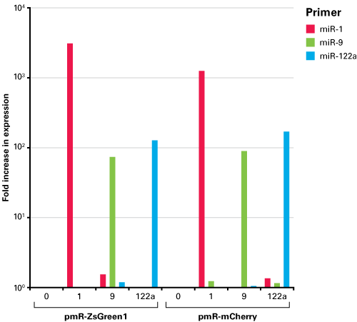 miRNA expression analysis