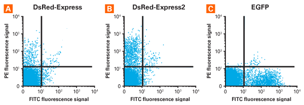 DsRed-Express2 expression in mouse stem cells and progenitor cells.