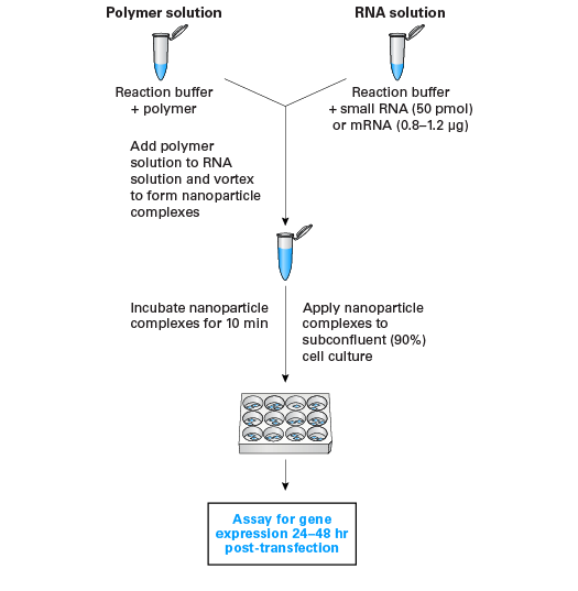 Guide-it indel identification kit overview