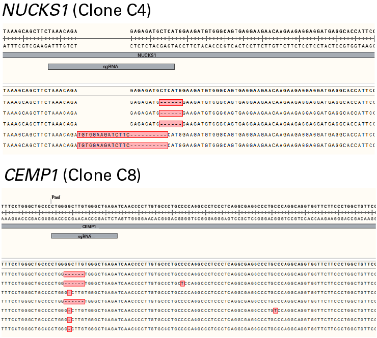 The guides in our CRISPR library have high activity