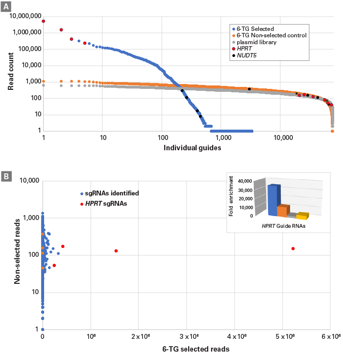 Results from 6-TG screen performed using genome-wide sgRNA library