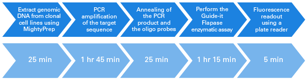 Guide-it SNP Screening Kit workflow