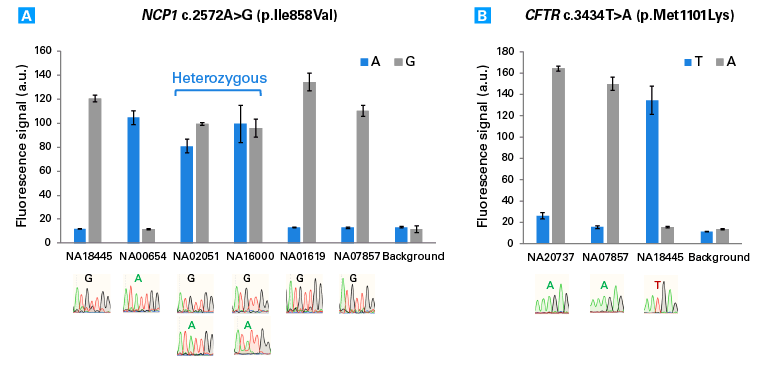 Using the Guide-it SNP Screening Kit for genotyping