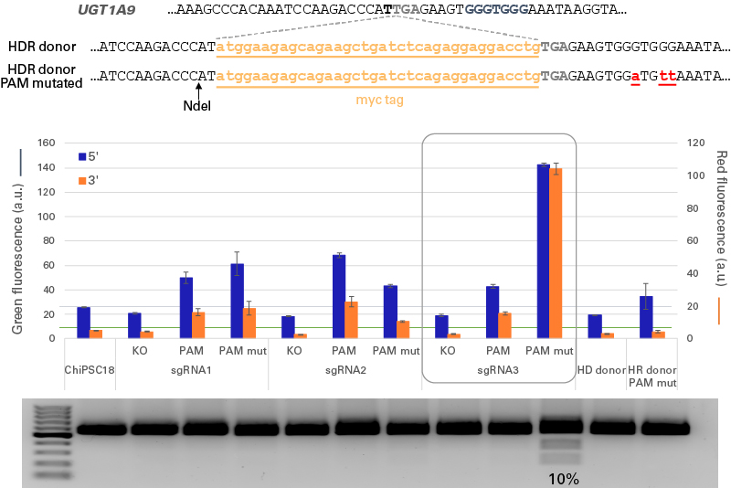 Improved genome editing performance via mutation of PAM sequence