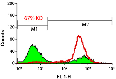 Flow cytometry analysis of HT1080-AcGFP1 cells.