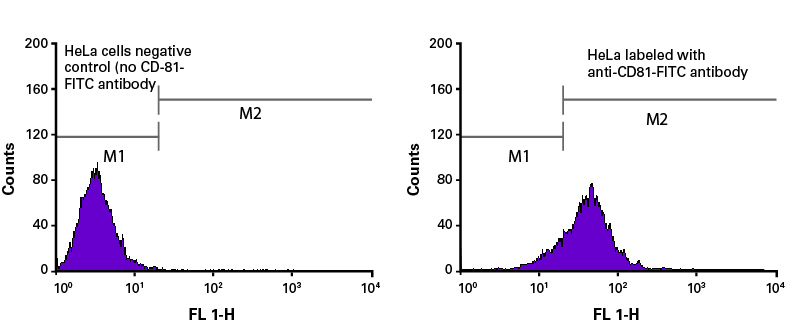 Figure 7. Flow cytometry analysis of HeLa cells, labeled with and without an anti-CD81-FITC antibody.