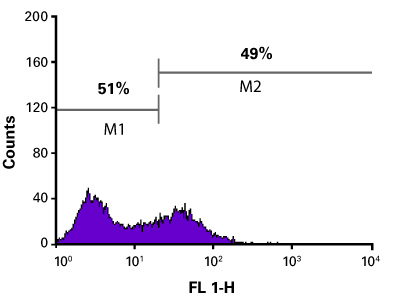 Figure 8. Flow cytometry analysis of HeLa cells labeled with the anti-CD81-FITC antibody after transfection with Cas9 and sgRNA targeting the CD81 gene.