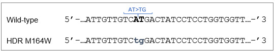 PSEN gene with two adjacent nucleotied substitutions