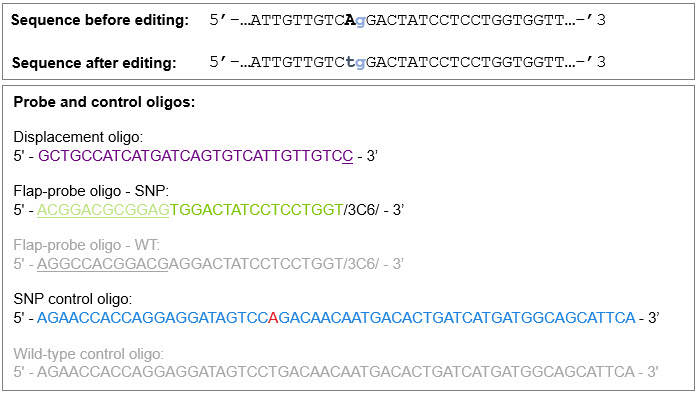 Oligo tool results for the first step