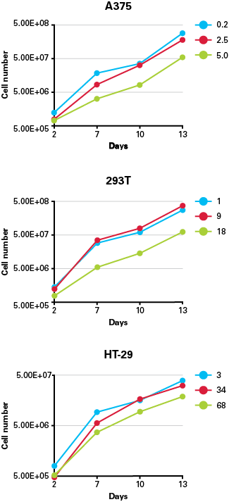 Cas9 affects growth rate at high expression levels