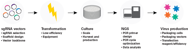 Advantages of an sgRNA library in Lenti-X Single Shots format versus plasmid or lentiviral particles