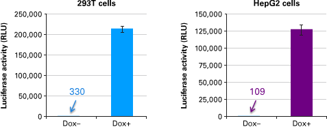 Tet-inducible expression using retrovirus